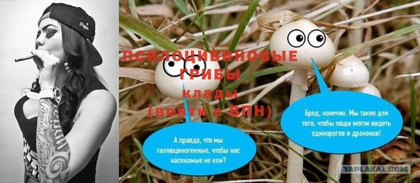 PSILOCYBIN Арсеньев