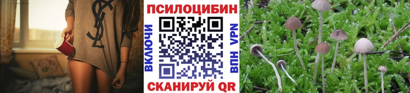 Псилоцибиновые грибы мухоморы  сколько стоит  дарк нет как зайти  Иркутск 